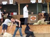 Royal Highland Show 2009 Sheep Shearing Competition