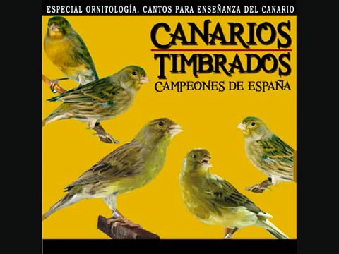 01 Cantos para enseñanza del canario