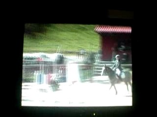 Premier concours de Pickpocket