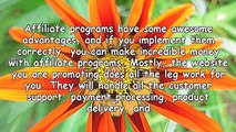Advantages And Disadvantages Of Affiliate Programs