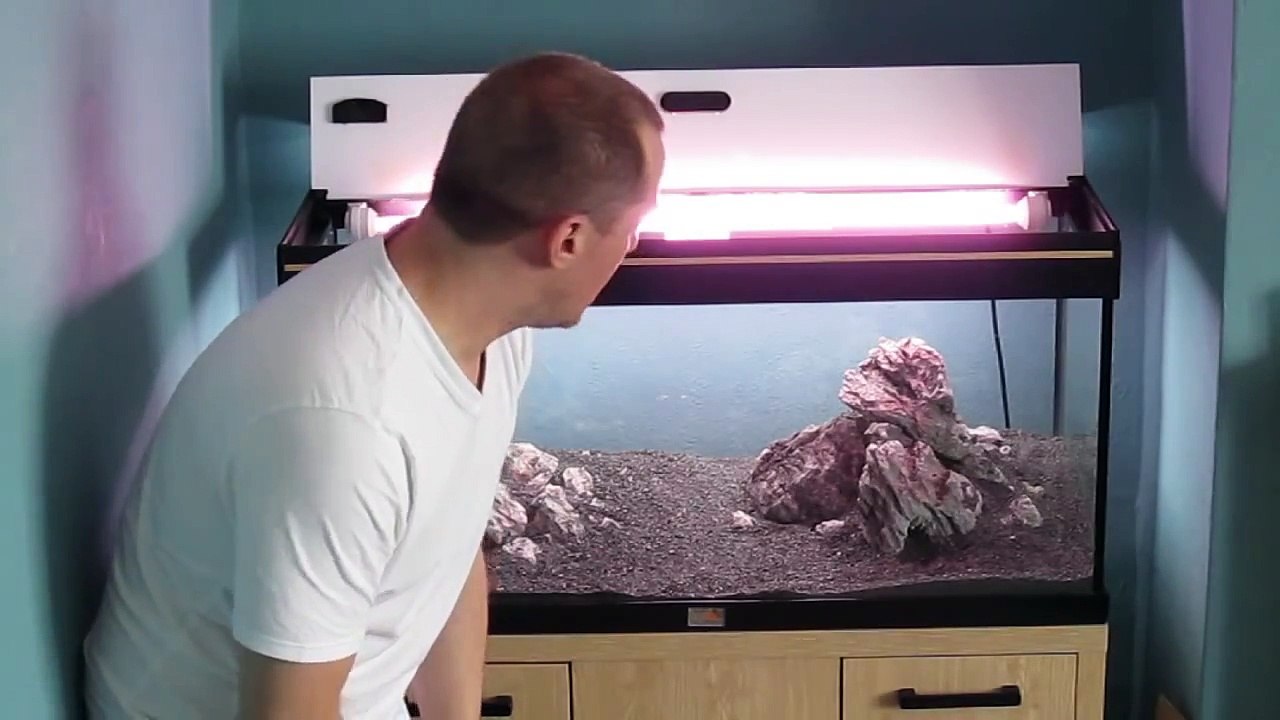 Setting up a low tech planted aquarium - Plants by Aquadip