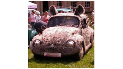 funny club penguin pictures