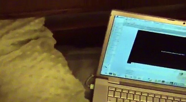 An error occurred, please try again later.