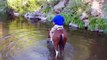 First trail ride for Nasdaq horse - day 8 under saddle