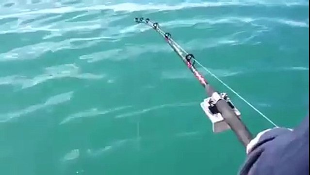 Olta ile Balina Avlamak..:)