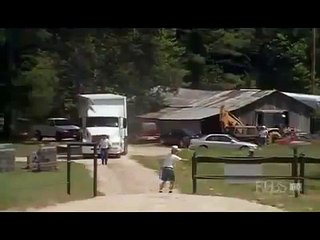 Deux elephantes se retrouvent apres 20 ans de separation!