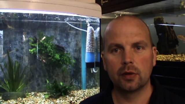 Excellent DIY Aquarium Moving Bed Filter by Pondguru