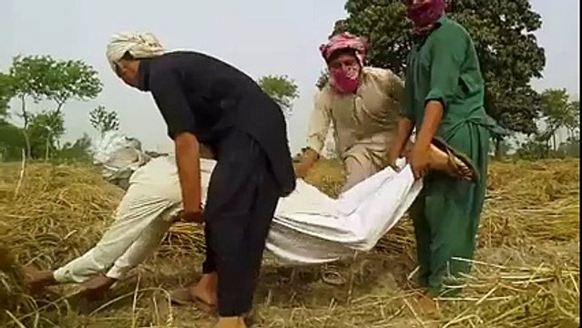 Pakistani Scientists invented a new thing hahah