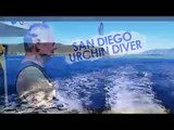 Sea Urchin Diving - California Uni Sushi