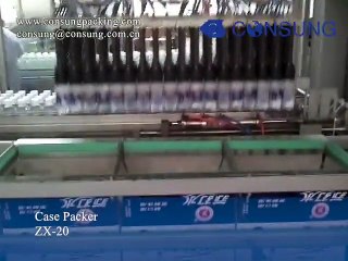 automatic pick&place case packer for square bottle