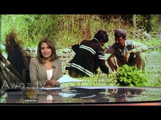 KPK Billion Tree Tsunami Project - A Revolutionary Project for KPK - Watch Al-Jazeera's Special Report