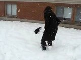 Siberian Husky Puppy Snow Adventure