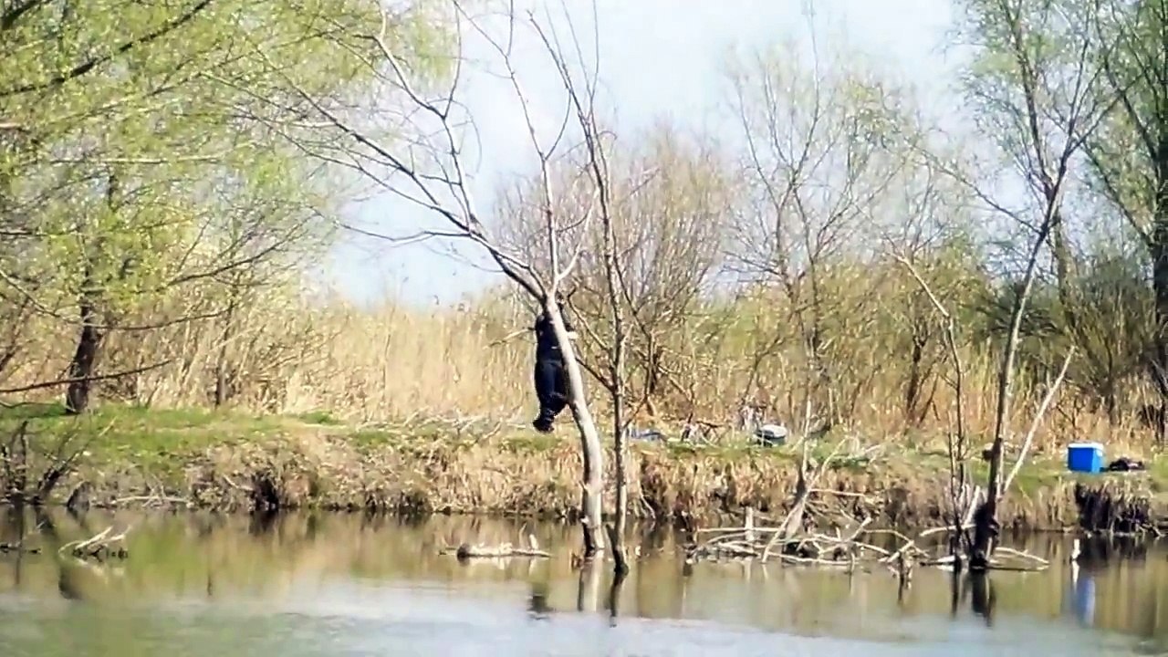 Pescuit la crap pe canalul Iacub din Delta Dunarii in 26 martie 2014