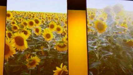 Uruguay muestra Expo Milán 2015 lo mejor de su industria cárnica