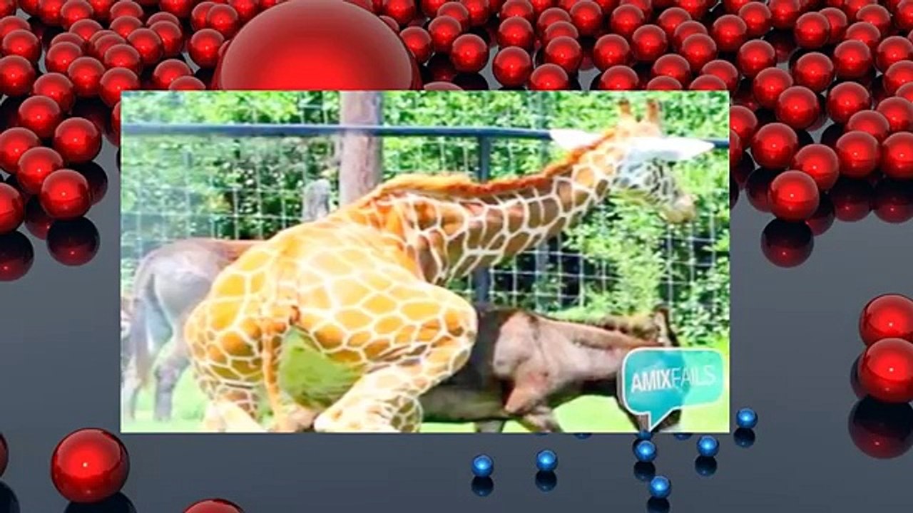 funny oops moment pics Sports Oops Moments