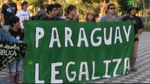 Jóvenes paraguayos piden legalizar cultivo de marihuana