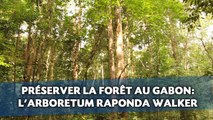 Préserver la forêt au Gabon : L’exemple de l’Arboretum Raponda Walker