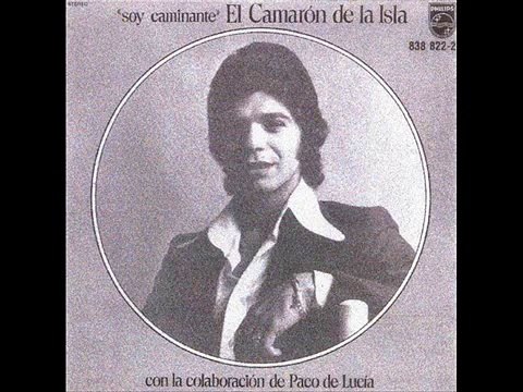 MIRA QUE BONITAS SON CAMARON DE LA ISLA