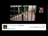 تويت فيديو: عملية «نخنوخ» برعاية «أنيمال بلانت»