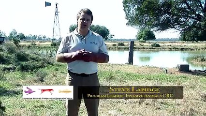 New tools for feral pig control: HOG-GONE® and sodium nitrite