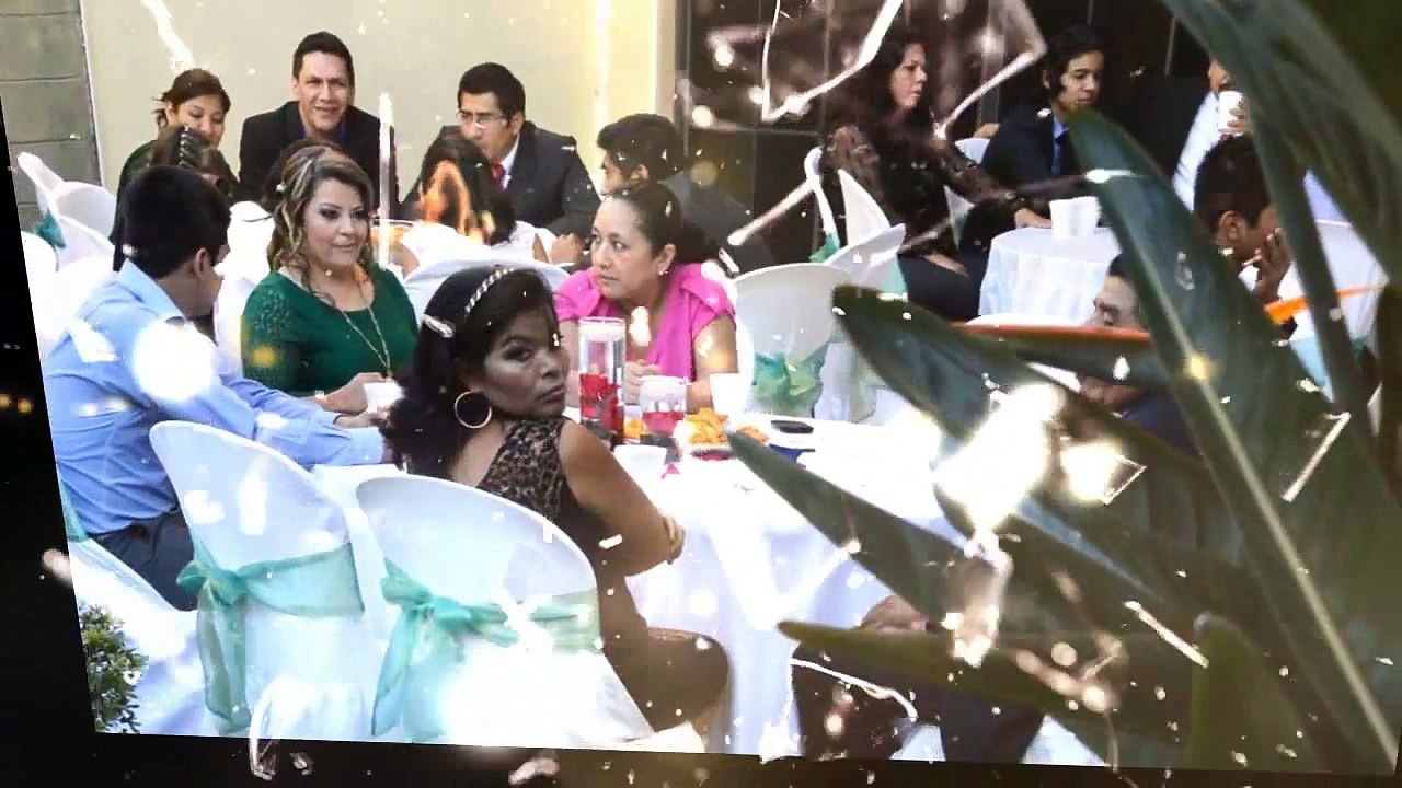 Efectos Para SONY VEGAS PRO Vol. 6 (Luces, Humo, Transiciones) Smoke, Overlay