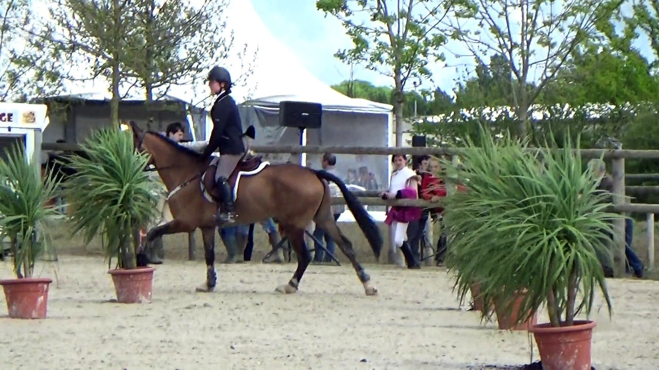 03-05-2015 - ST LO - Club Poney 1 Fig Imposees