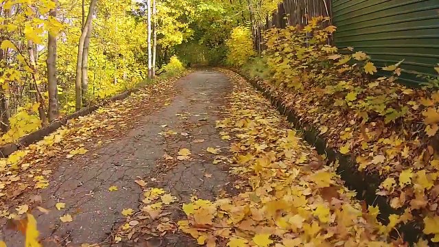 2014 год. Золотая осень в Нижнем Новгороде
