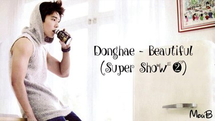 Donghae (SJ) - Beautiful (Legendado PT-BR) ~LYRICS~