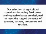 Bulk Boxes for Fruits and Vegetables