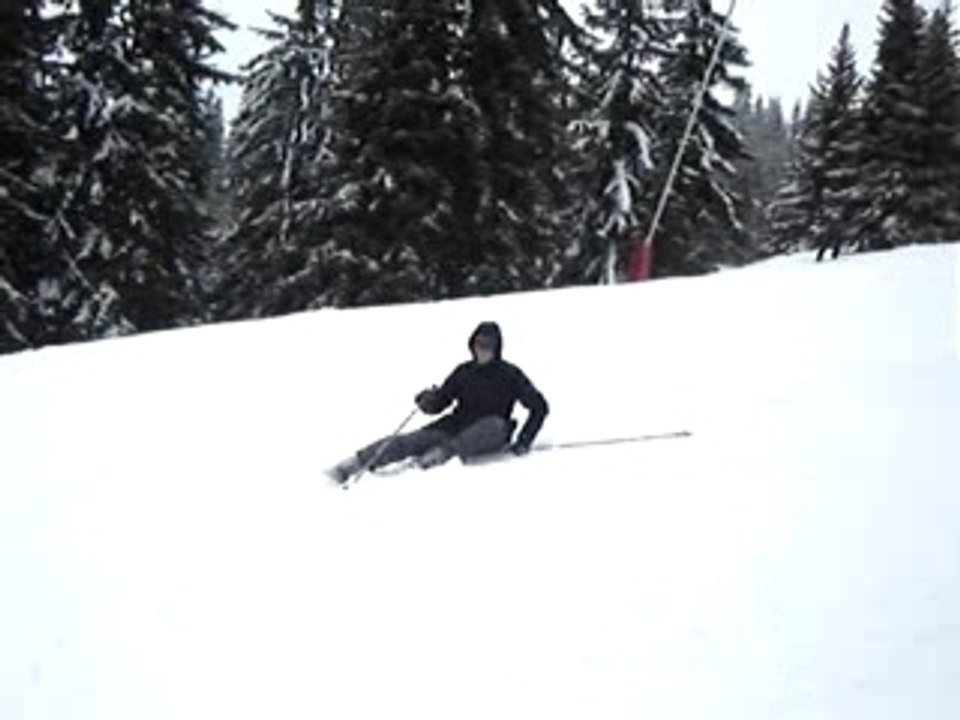 Ca tue le Ski !!!