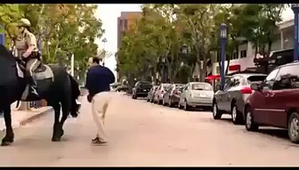 HAH watch this crazy man what he do with horse