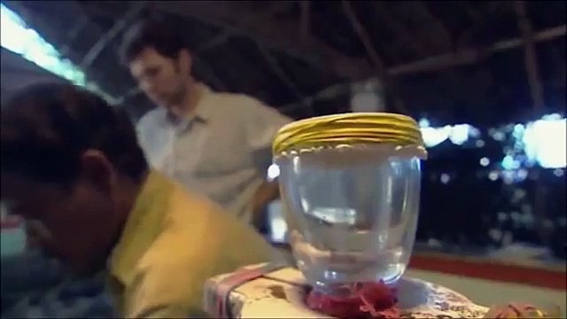 Quand le venin de serpent tue...très vite !