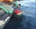 Bedreigde Walvis wordt uit de netten bevrijd door vissers