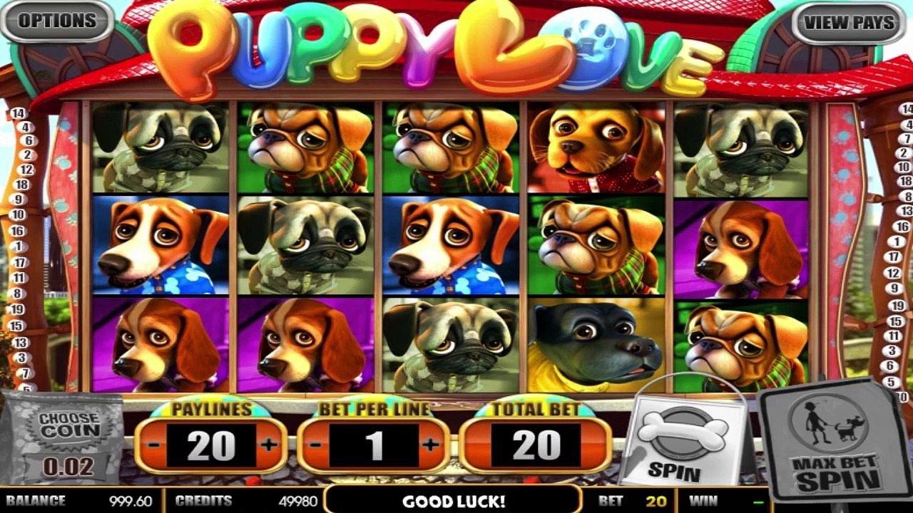 CasinoBedava'dan Puppy Love slot oyunu tanıtımı