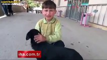 Yaralı Köpeğini Acil Servise Götüren Yozgatlı Çocuk