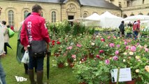 Fête des plantes Roche-Guyon