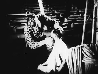 Circus Wakes Up (1950)