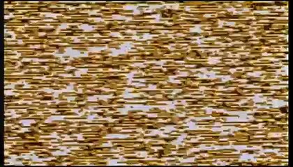 Psycho (1998) - Original Trailer