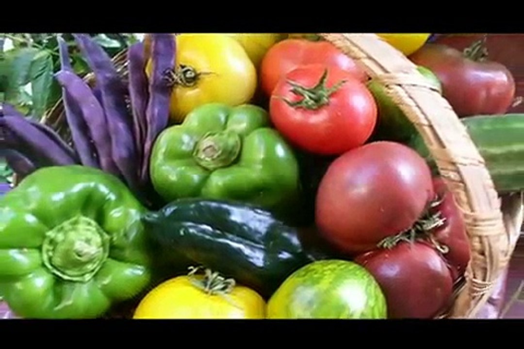 Homegrown Revolution (Trailer)