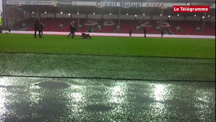 Football. L'état de la pelouse avant Brest-Dijon