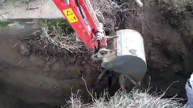 Biz Türkler Gerçekten İnanılmaz İnsanlarız