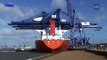 Cranes Wreckage After Crash & Collapse at Port of Felixstowe