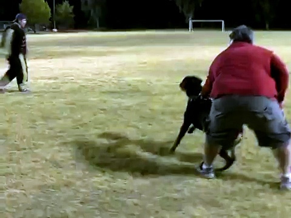 Rottweiler Attack