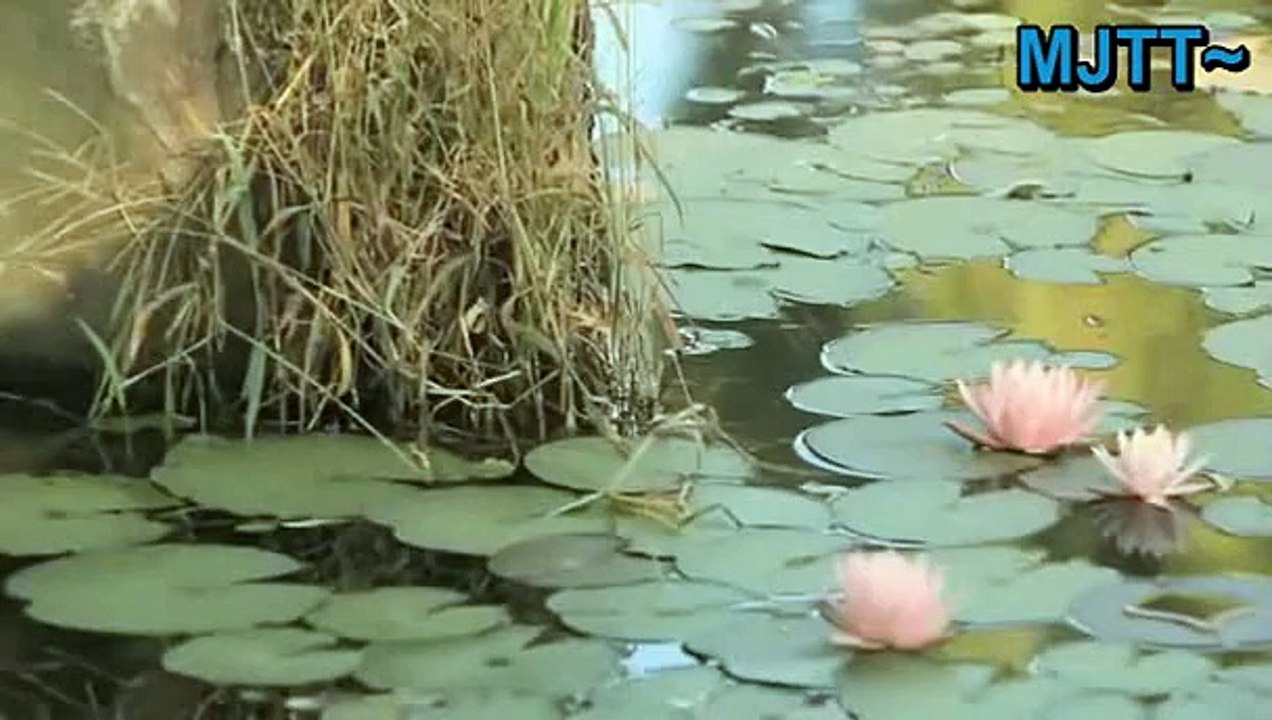 [TÜRKÇE ALTYAZILI] Suzy & Jia - Annyeong! [pt.2]