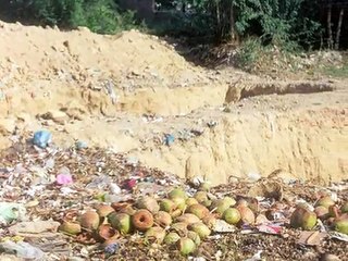 Campus Recycling Project