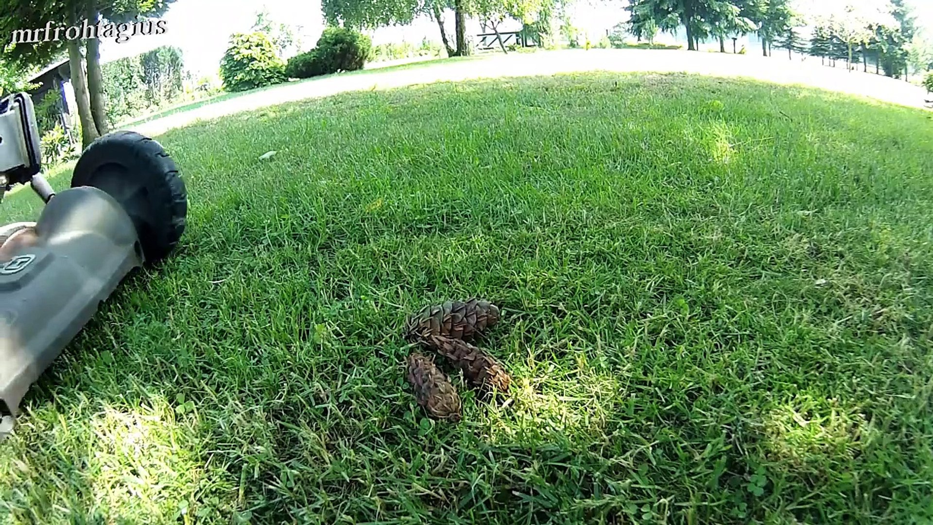 Rasen Mähen Oder Mulchen - Blogdejust