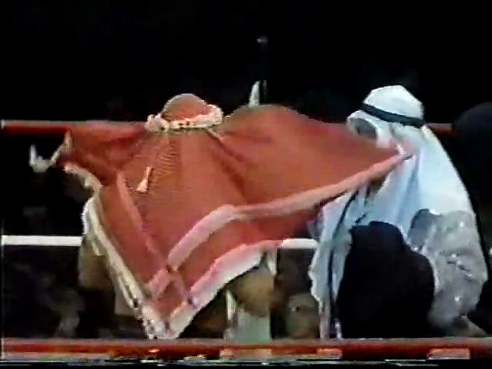 12-24-83 Sheik injures Backlund