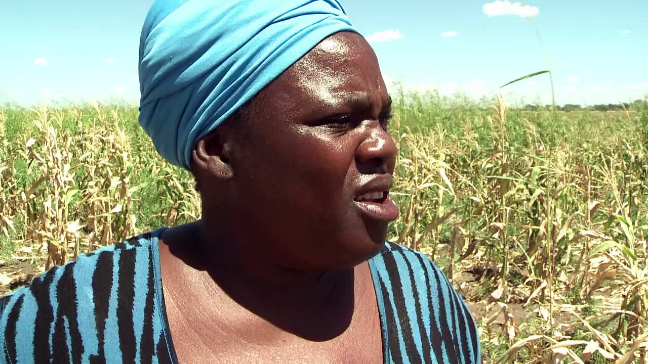 Botsuana: Zurück zur Elefanten-Jagd?