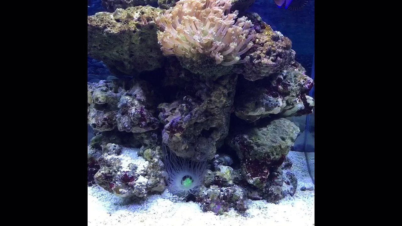 My Sea
