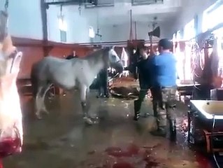 کیا یہ طریقہ درست ہے, اپنی آرا سے ضرور آگاہ کیجیے گا